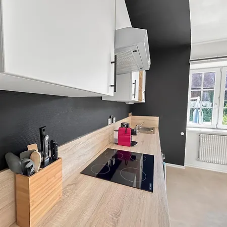 Family Lounge Proche De Europapark Et Rulantica Appartement Rhinau