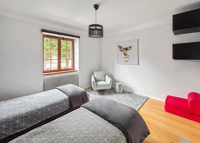 Appartement Lumineux Proche D'europapark Et Rulantica Rhinau